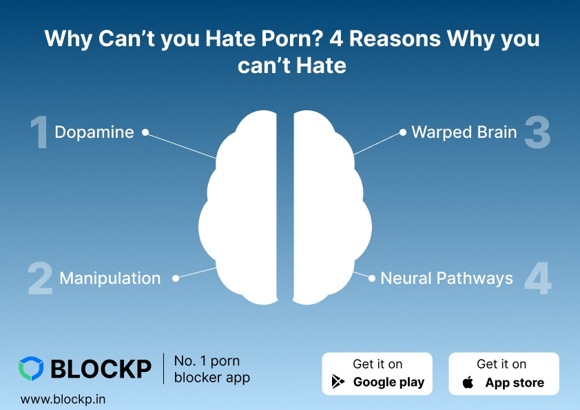 Why Can’t you Hate Porn 4 Reasons Why you can’t Hate